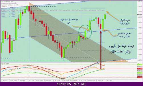     

:	EURUSD-31012011.1H.gif
:	380
:	38.8 
:	306067