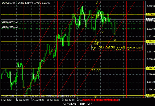 euro.gif‏