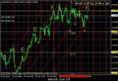 euro.gif‏