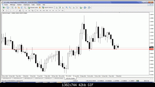 usdcad week.gif‏