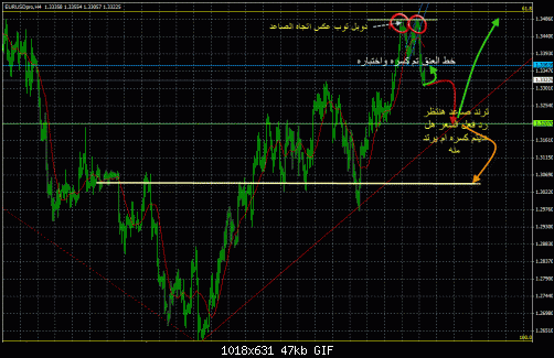 euro1-3-2012.gif‏