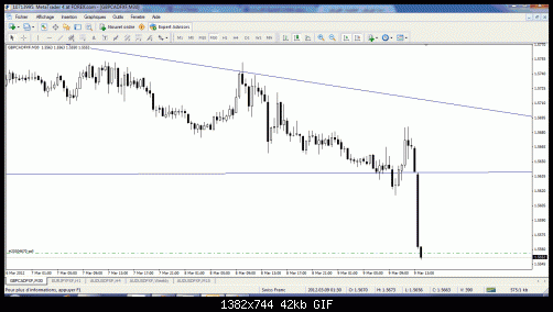 gbpcad6.gif‏