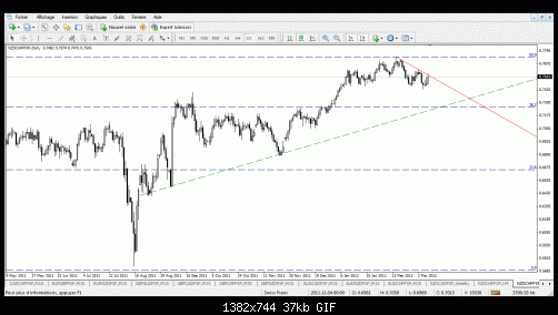 nzd chf 2.gif‏