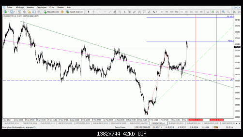 cadchf.gif‏