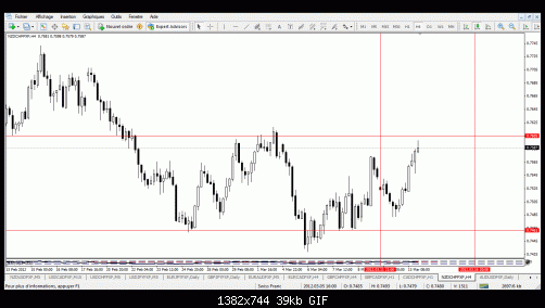 nzdchf.gif‏