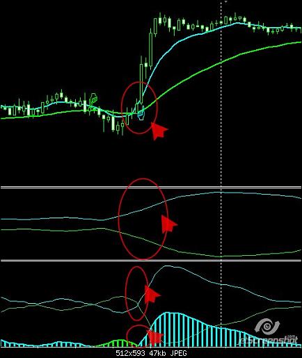 buyeasy20pips.jpg‏