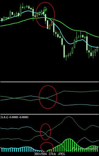 selleasy20pips.jpg‏