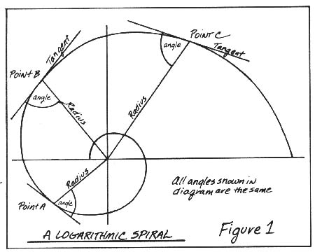 camfig1.jpg‏