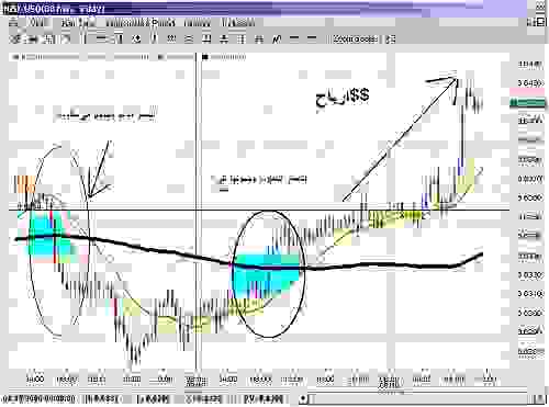 nzd $$.JPG‏