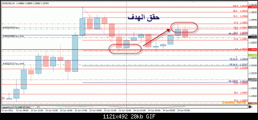 EUR111.gif‏