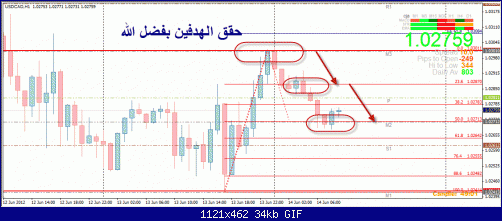 USDCAD111.gif‏