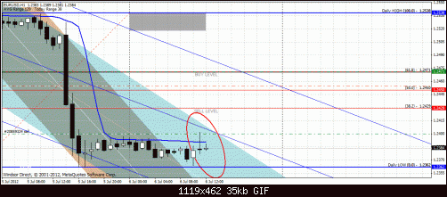 eurusd.gif‏