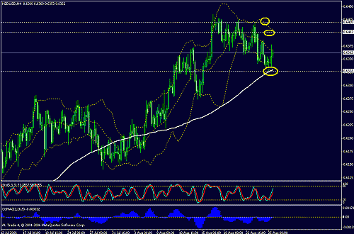 nzdusd.gif‏