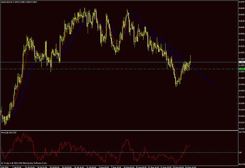 aud-cad.gif‏