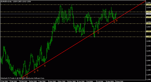 eurusd3082006.gif‏