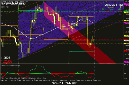     

:	eurusd1h 8-30.gif
:	47
:	32.7 
:	336136