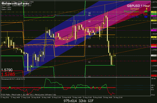     

:	gbpusd1h 8-30.gif
:	36
:	31.9 
:	336138