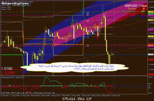     

:	gbpusd1h 8-30.gif
:	45
:	35.2 
:	336149