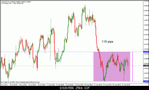 cad chf.gif‏