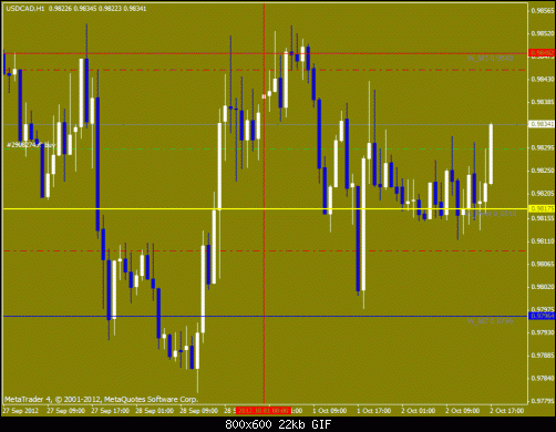 nzd.gif‏