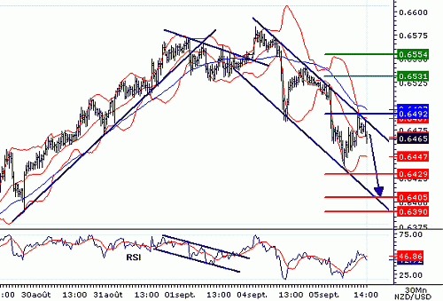 NZDUSD20060905141212.gif‏