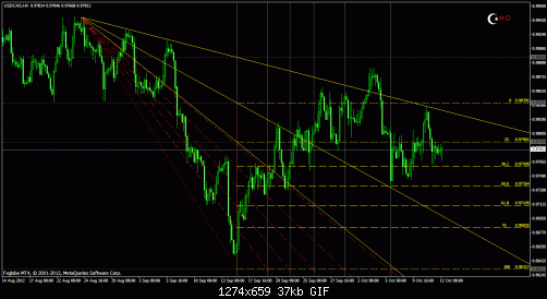 usdcadh4.gif‏