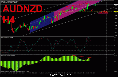 audnzd.gif‏