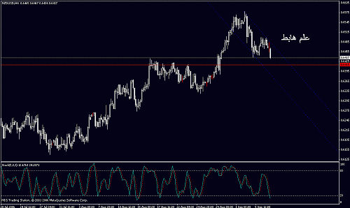 nzd2.gif‏