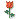     

:	rose.gif
:	233
:	953 
:	344225