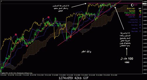 audcad1.gif‏