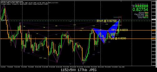 nzd002.jpg‏