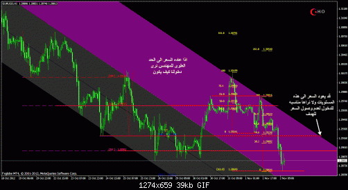 eurusd.gif‏