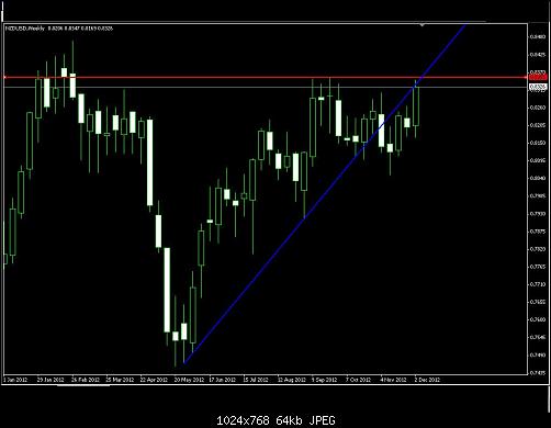 nzd-week.JPG‏