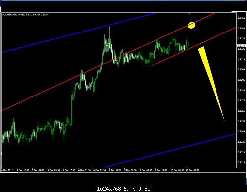 nzd30min.JPG‏