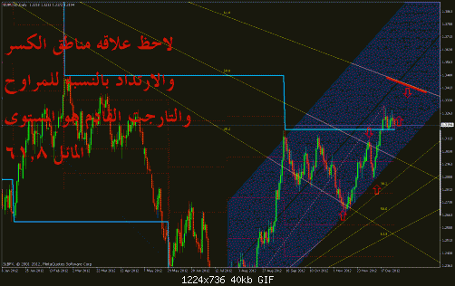 eurusd1.gif‏