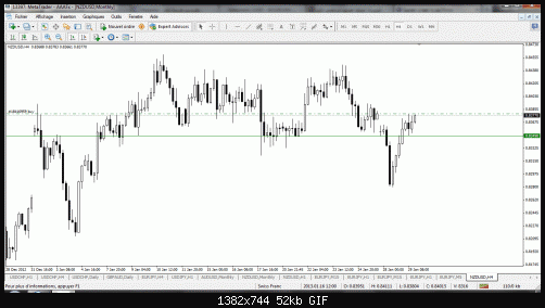 nzd4h.gif‏