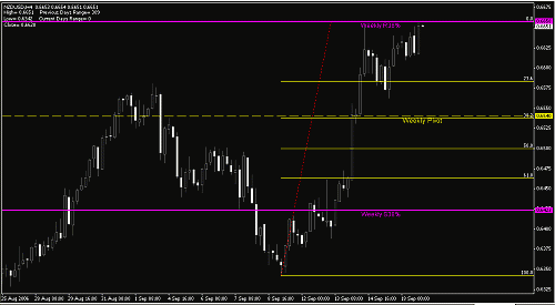 nzd.gif‏