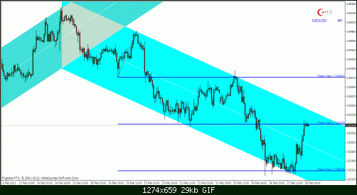 nzdusd1.gif‏