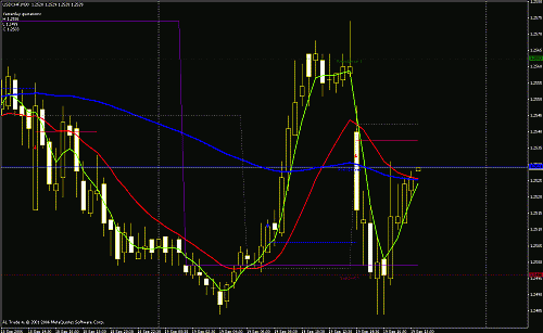 wma chf.gif‏