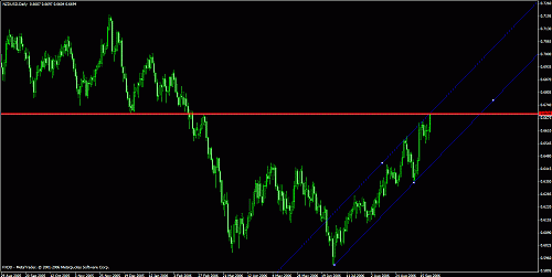 nzd.gif‏