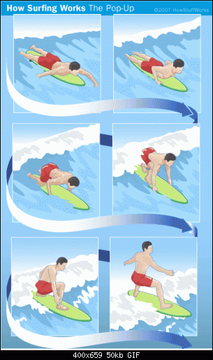     

:	surfing-8.gif
:	25
:	50.5 
:	373676