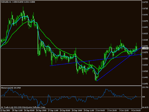 nzd1.gif‏