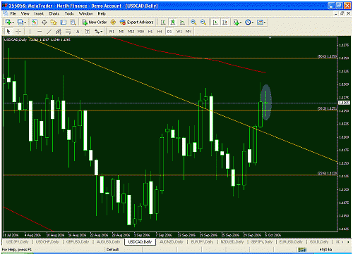 usdcad daily.gif‏