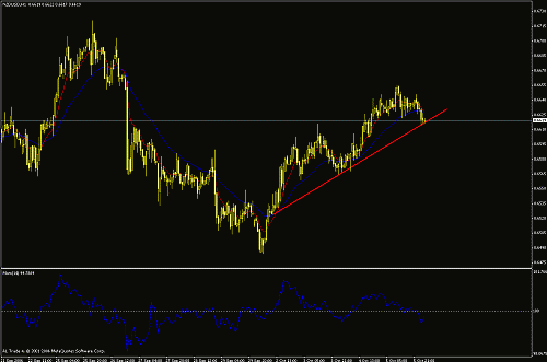 nzd.gif‏