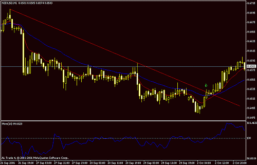 nzd2.gif‏