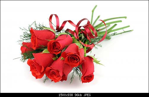     

:	happy-rose-day_129959.jpg
:	46
:	96.3 
:	394217