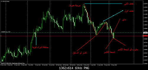usdcaddaily1.png‏