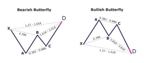     

:	pattern-butterfly-pic500.jpg
:	251
:	11.4 
:	408436