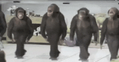     

:	dancing monkeys.gif
:	173
:	488.8 
:	408972