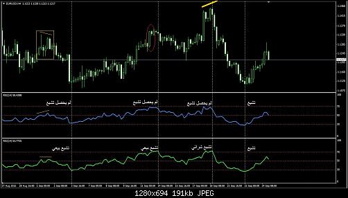     

:	RSI (1).jpg
:	115
:	190.9 
:	443869